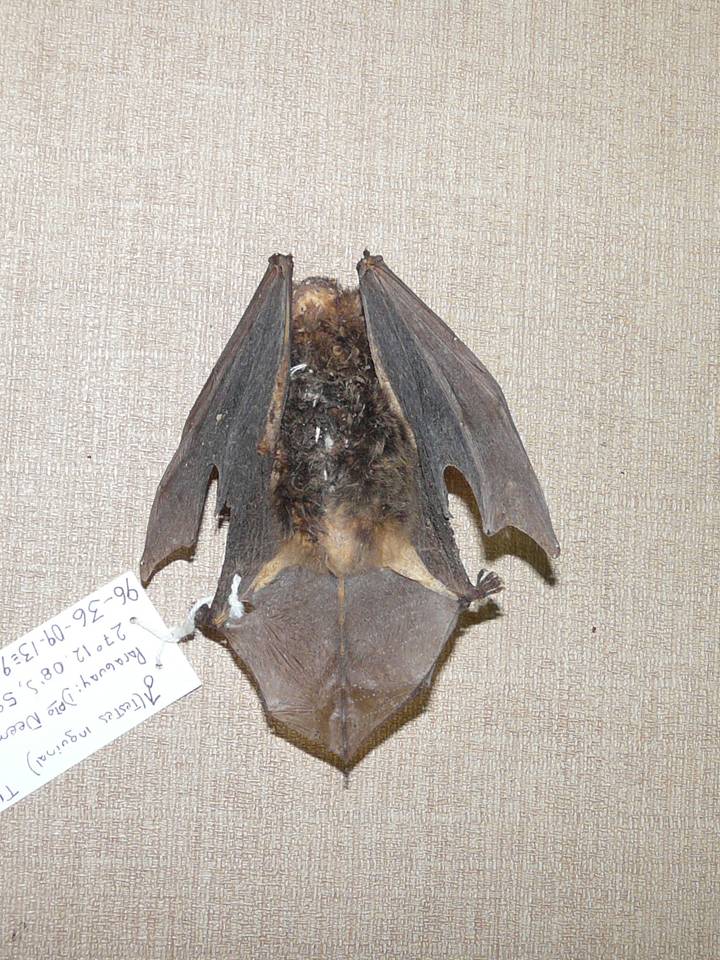 FIGURE 9 FIGURE 9